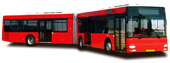 According to the law what is the maximum permitted length of the bus?